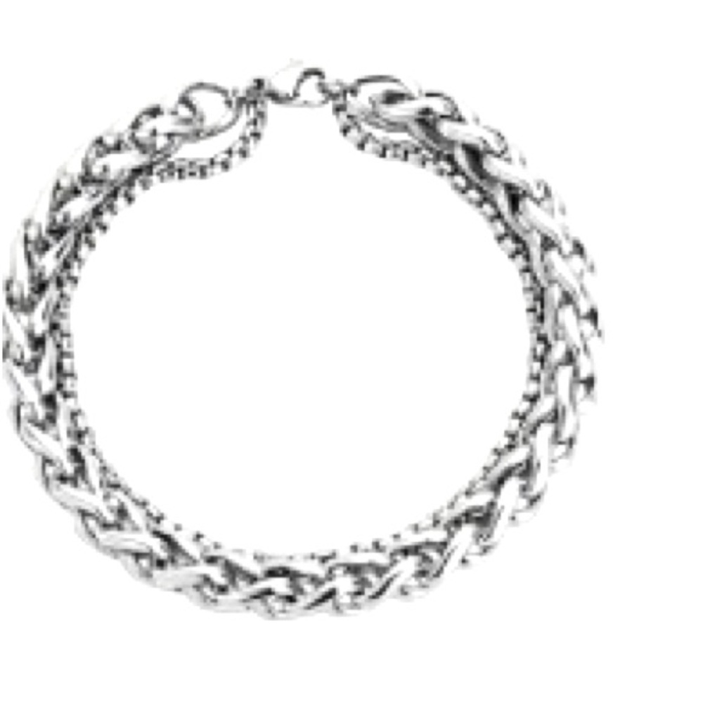 Double Layer Stainless Steel Dragon Bone Chain Bracelet